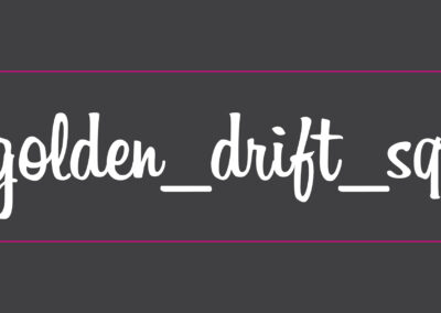 Chris Klein Golden Drift Squad Car Decals